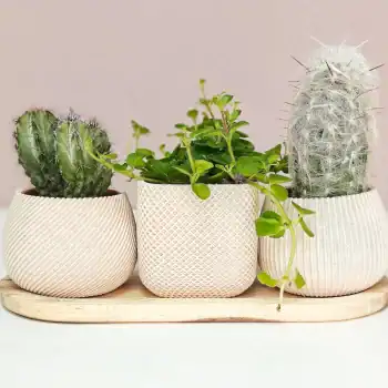 Nova Trio – set van 3 minimalistische mini bloempotten